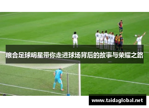 粮合足球明星带你走进球场背后的故事与荣耀之路