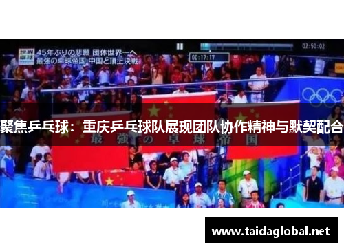 聚焦乒乓球：重庆乒乓球队展现团队协作精神与默契配合