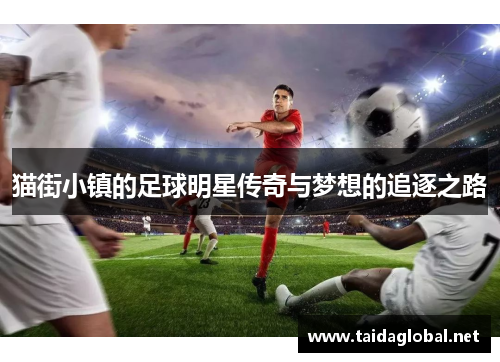 猫街小镇的足球明星传奇与梦想的追逐之路